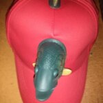 Casquette poisson cadeau pêcheur fun