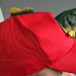 Casquette poisson cadeau pêcheur fun