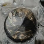 Chapeau anti-moustique femme randonnée