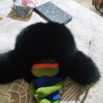 Chapka homme cuir et fourrure de renard