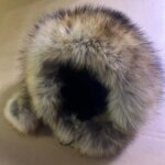 Chapka russe femme luxe fourrure renard